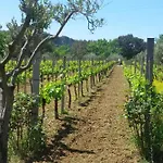 Agrilao Vakantieboerderij Scalea